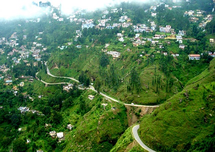 almora uttarakhand dmc