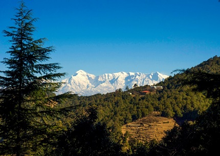 binsar uttarakhand dmc
