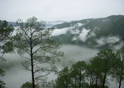 lansdowne uttarakhand dmc